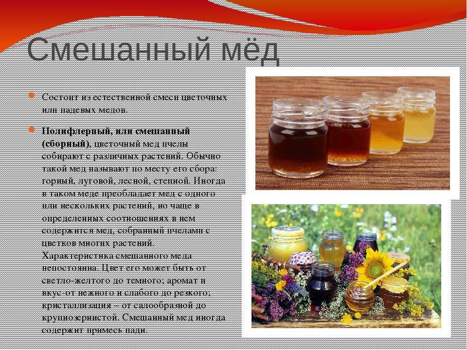 Определение пади в мёде - pchela-info.ru