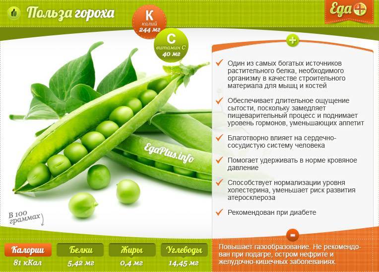 Польза и вред зеленого горошка для здоровья, состав, калорийность и свойства