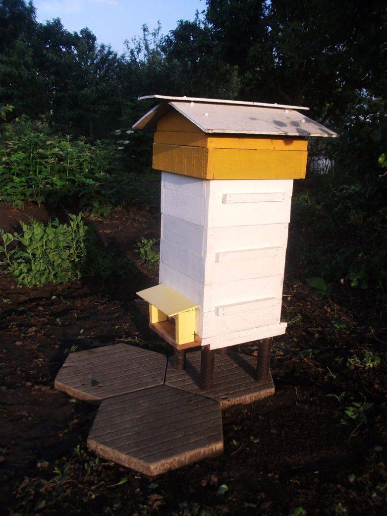 Особенности содержания пчел и самостоятельное изготовление улья варрэ