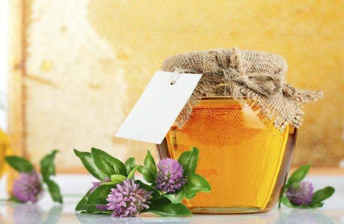 Зеленый мед: почему такой цвет, состав, полезные свойства