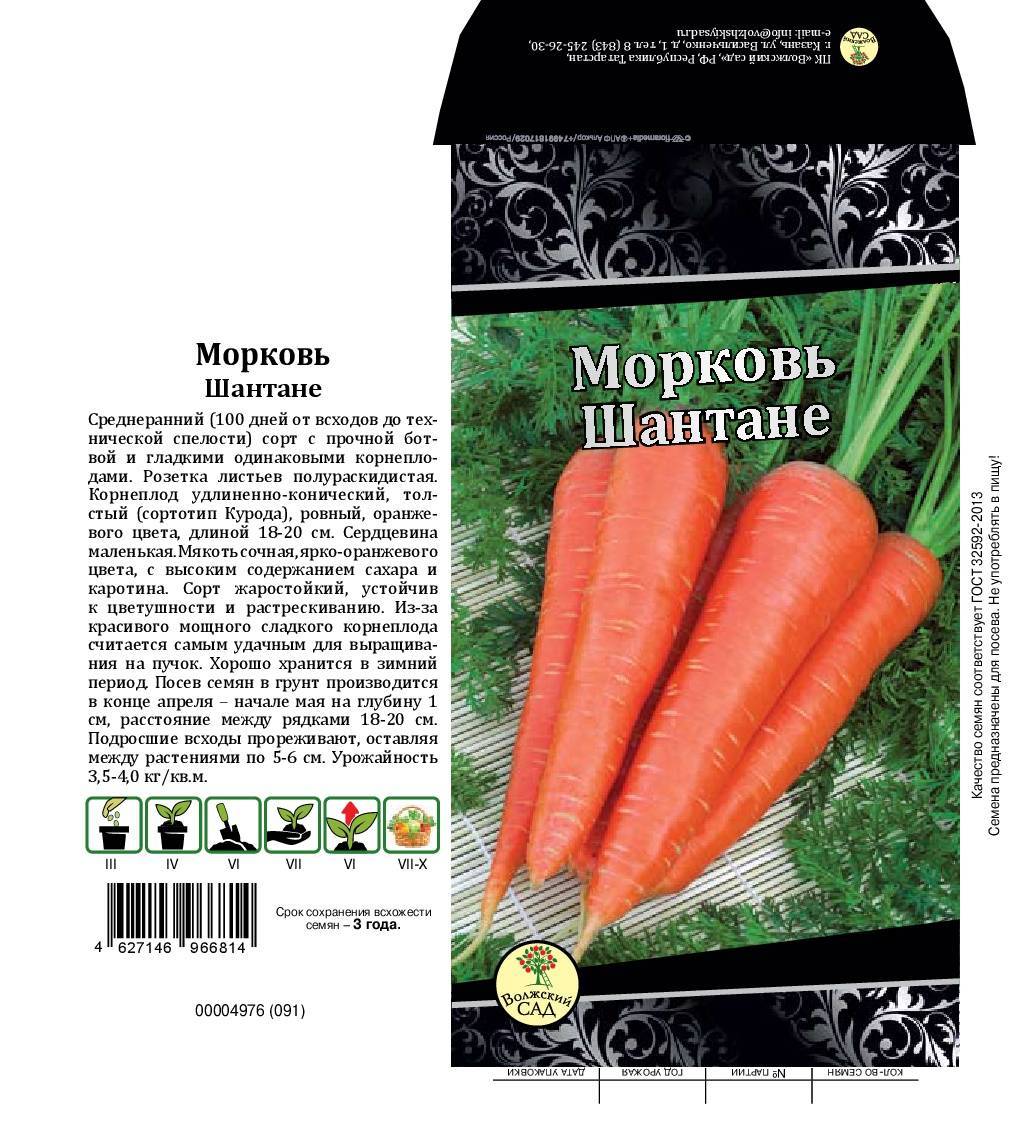 Самый урожайный сорт моркови канада f1 - агро эксперт