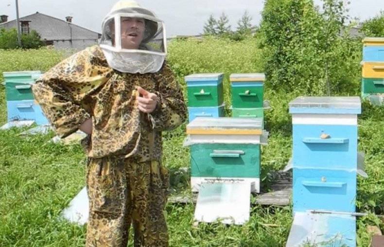 Эффективные методы в пчеловождении
