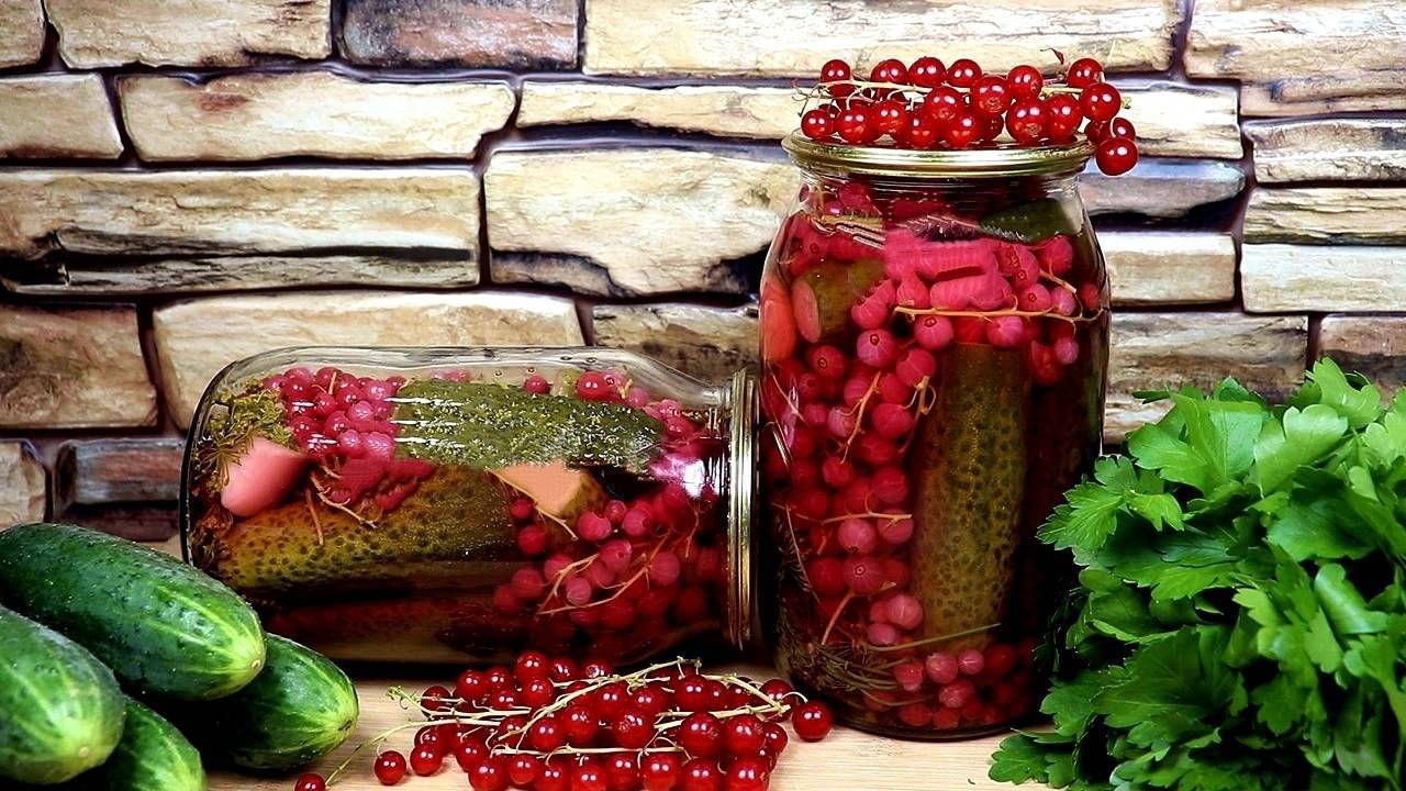 Хрустящие маринованные огурцы на зиму: вкусные и простые рецепты