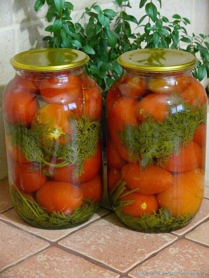 Соленые помидоры на зиму в банках — очень вкусные рецепты