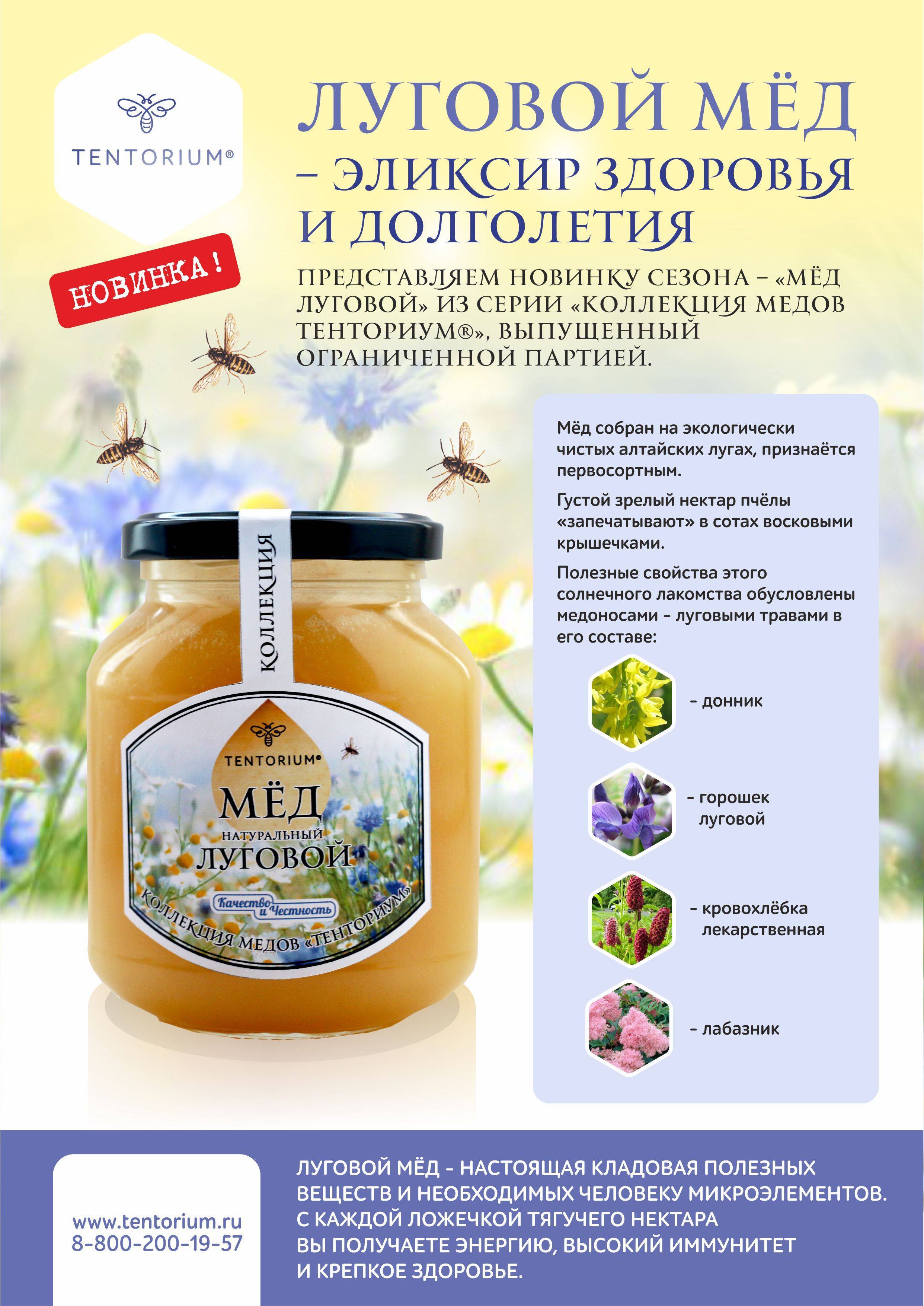Гречишный мед: полезные свойства и противопоказания для детей, мужчин и женщин, отзывы о терапевтической эффективности