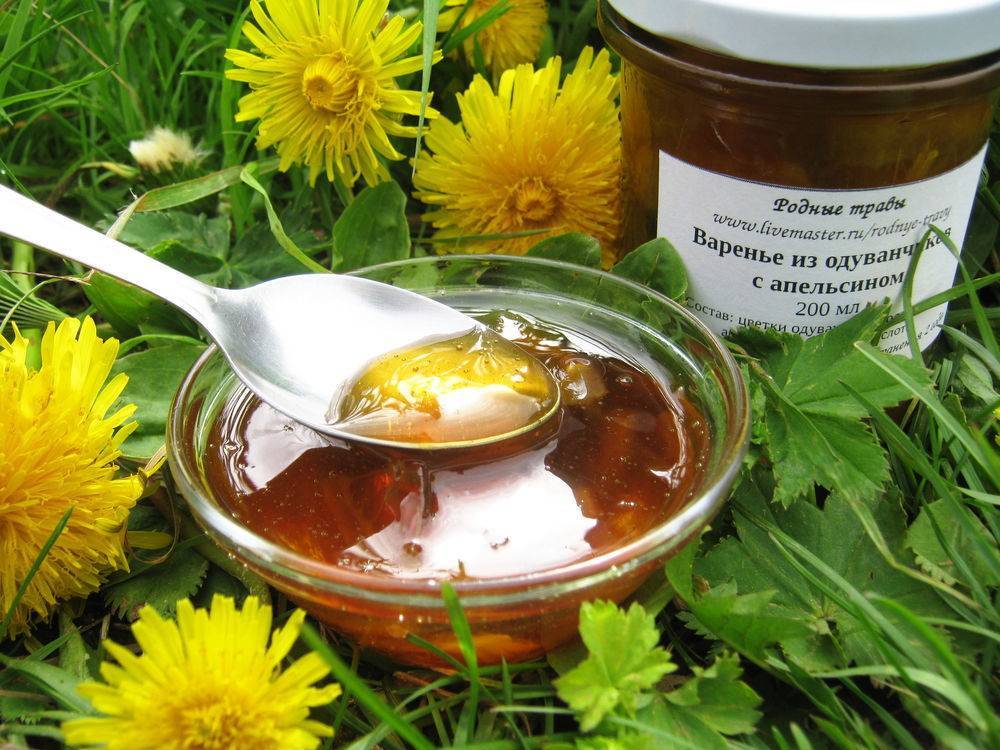 Одуванчиковый мёд: описание. полезные свойства. рецепты - медовый сундучок