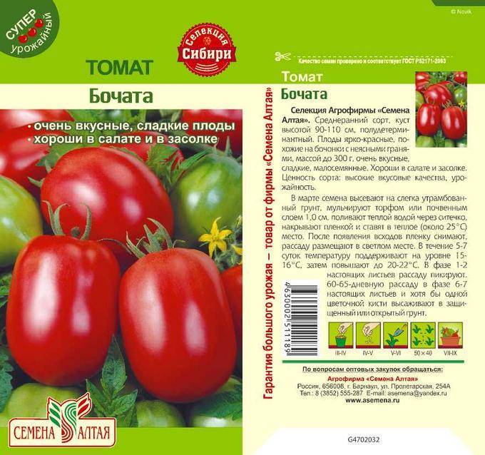 Высокорослые томаты в теплице и открытом грунте — особенности выращивания. посадка, условия и уход. фото — ботаничка.ru
