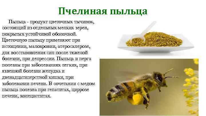 Пчелиная пыльца польза для здоровья. состав витаминов