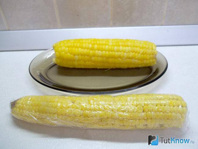 Как правильно заморозить кукурузу на зиму в початках и в зернах