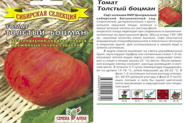 Томат знатный толстяк f1: отзывы об урожайности, фото семян уральский дачник, характеристика и описание сорта