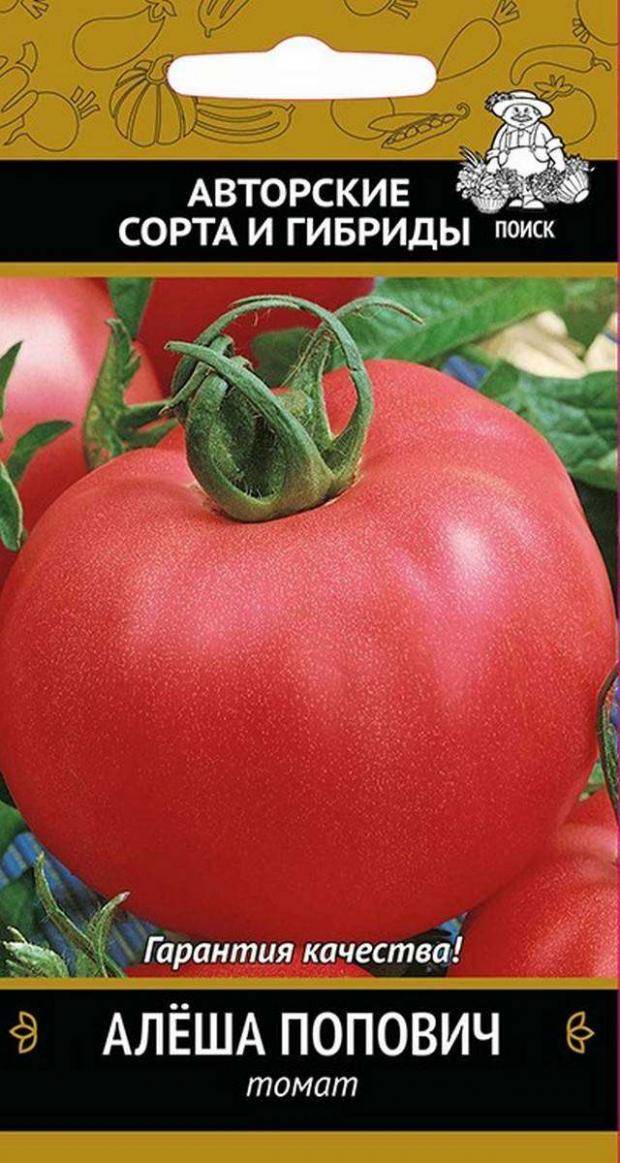 Томат алеша попович: отзывы тех кто сажал помидоры, характеристика и описание сорта, фото урожайности и видео
