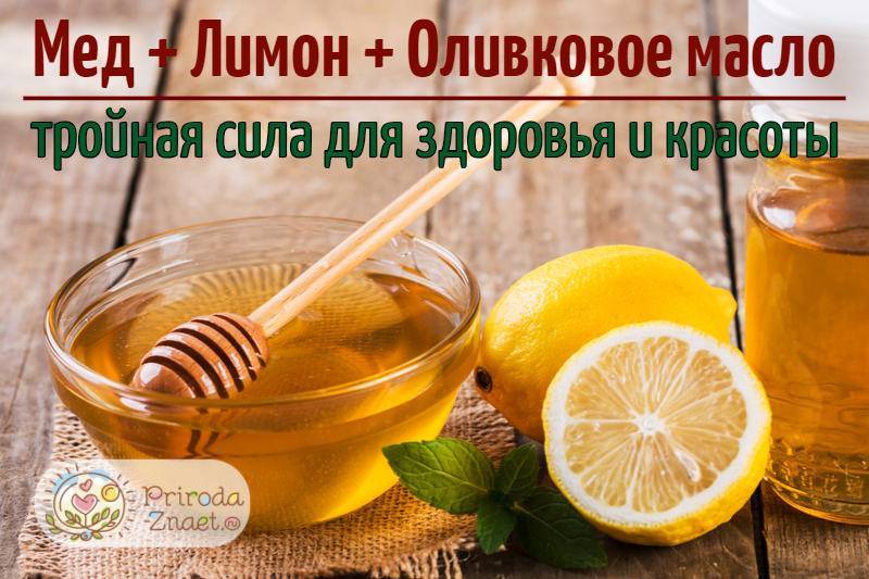 Мед, лимон и оливковое масло: полезные свойства и рецепт приготовления
