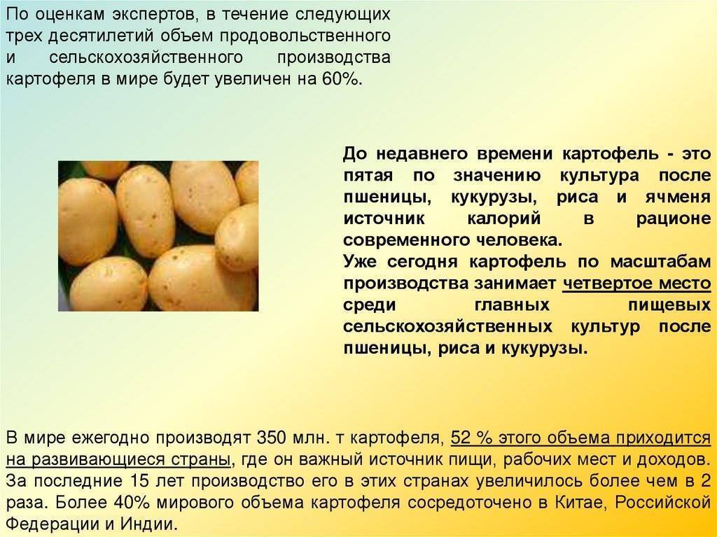 Картофель уладар: описание сорта, фото, отзывы о картошке, характеристика и вкусовые качества урожая