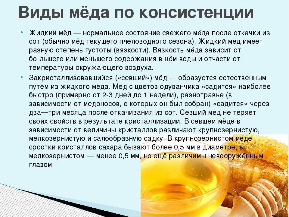 Почему не засахаривается мёд: причины быстрой и медленной кристаллизации.