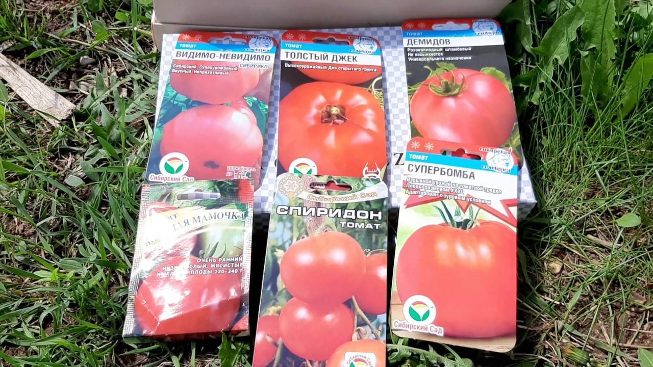 Штамбовые сорта томатов ?: характеристика, описание сорта, фото | qlumba.com