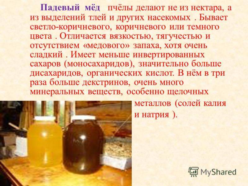 Падевый мёд (описание. состав. применение. противопоказания) - медовый сундучок