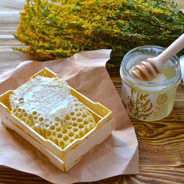 Донниковый мед: полезные свойства и противопоказания, рецепты и особенности применения, кук выявить подделку