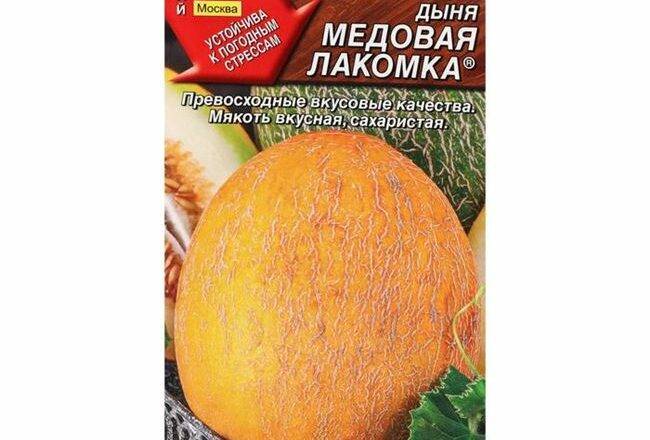 Сорта дыни с оранжевой мякотью: характеристика и описание - здоровая семья