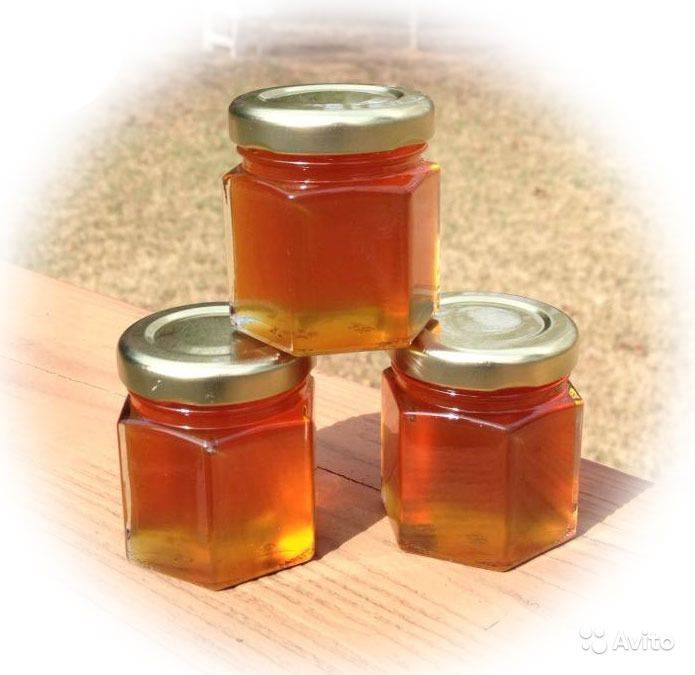 Как выглядит и чем полезен гречишный мед: отличие от других сортов
