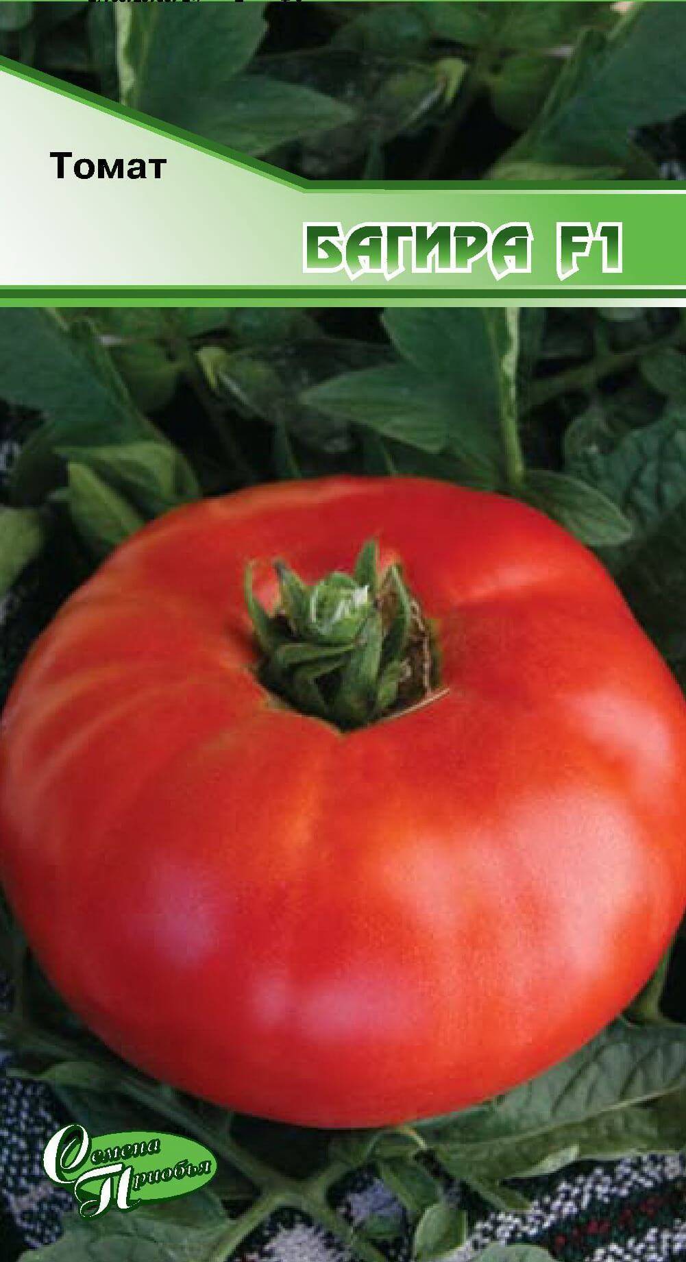 Описание гибридного томата Багира, выращивание и борьба с вредителями