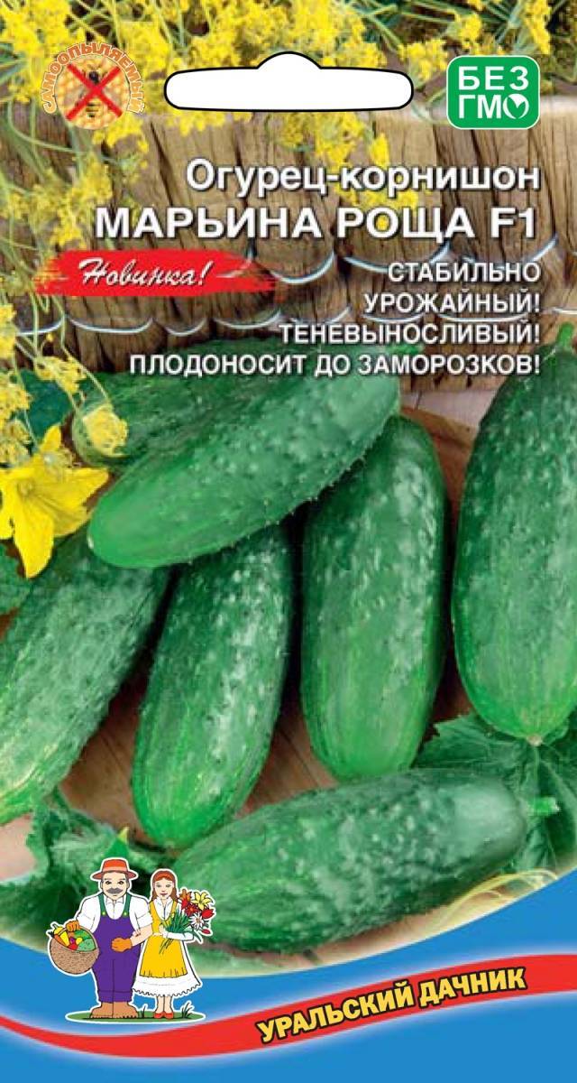 Скороспелый гибрид огурца «марьина роща f1», любимый дачниками за высокую урожайность