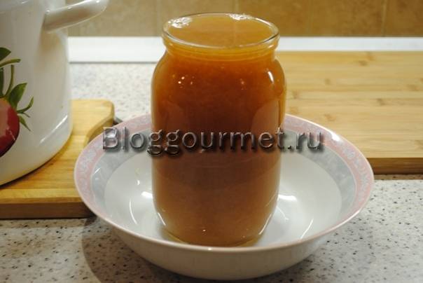 Рецепт приготовления с пошаговыми фото яблочно-сливового сока на зиму в домашних условиях через соковыжималку