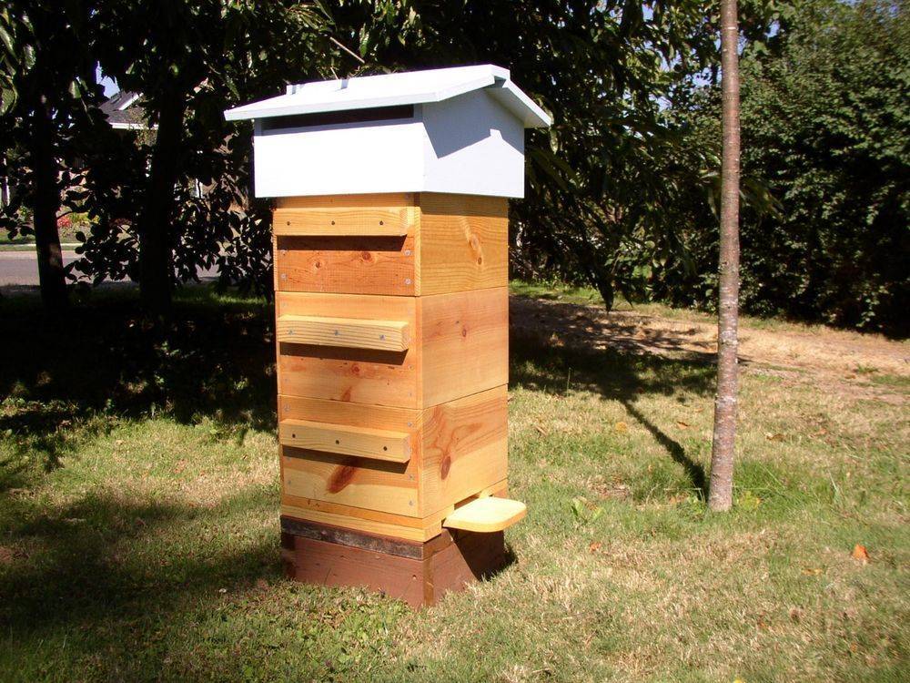 Улей варрэ в пчеловодстве: особенности, чертежи и отзывы, видео