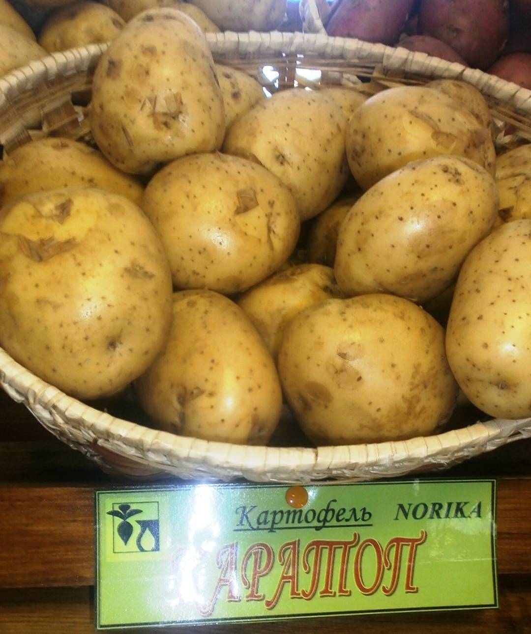 Картофель каратоп: описание сорта, фото, отзывы об урожайности и характеристика вкусовых качеств