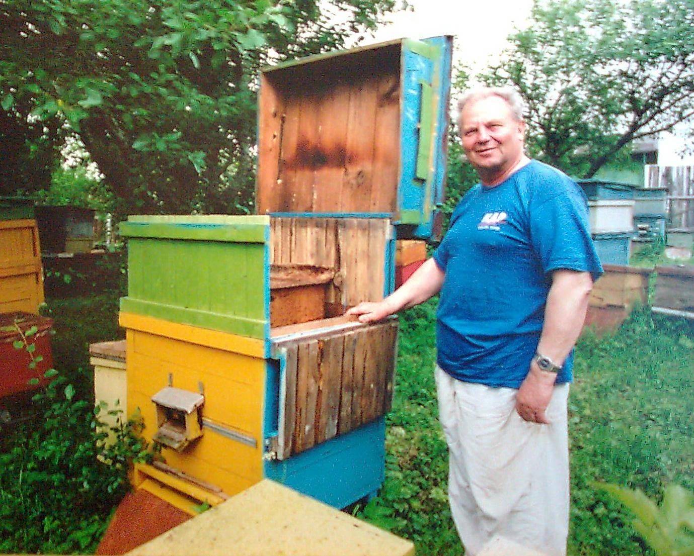 Канадское пчеловодство: технология содержания пчёл, виды ульев, методы пчеловодства