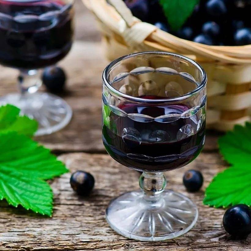 Настойка из листьев черной смородины – как правильно пить