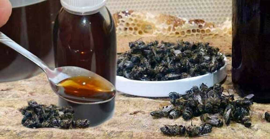 Пчелиный подмор настойка на водке