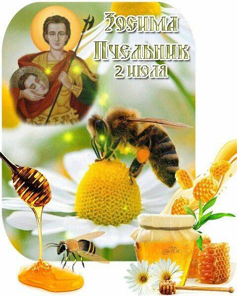 Приметы, поверья и сновидения с мёдом и пчёлами