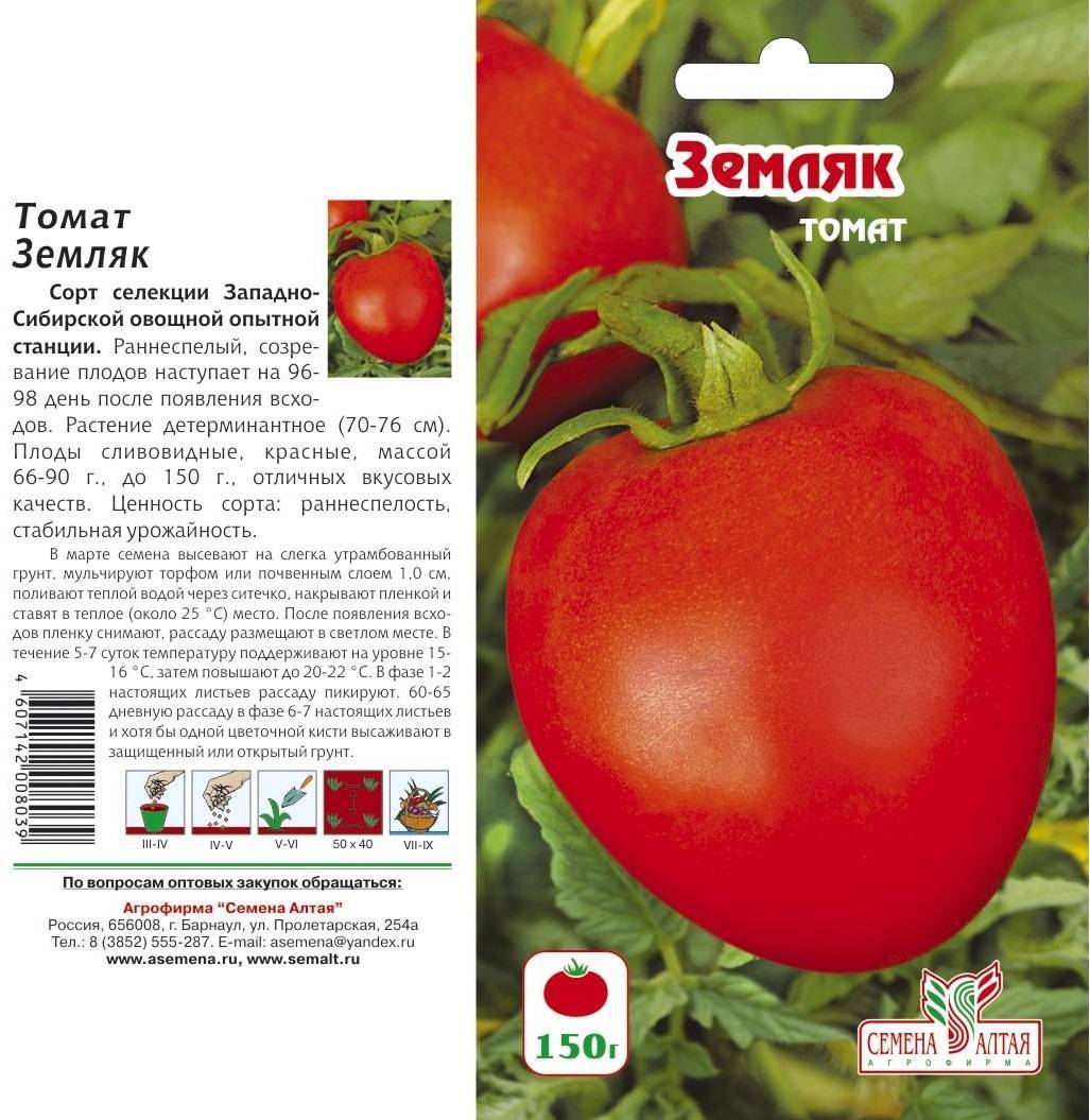 Описание, характеристика, посев на рассаду, подкормка, урожайность, фото, видео и самые распространенные болезни томатов сорта «чибис».
