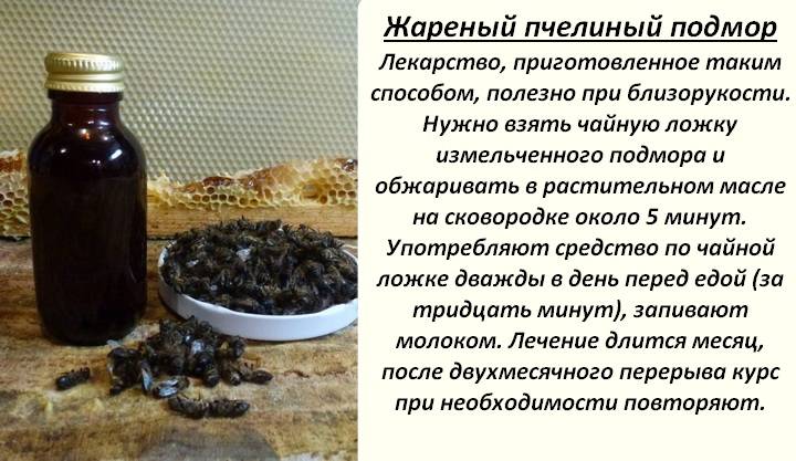 Подмор пчелиный: лечебные свойства, как принимать, польза и вред