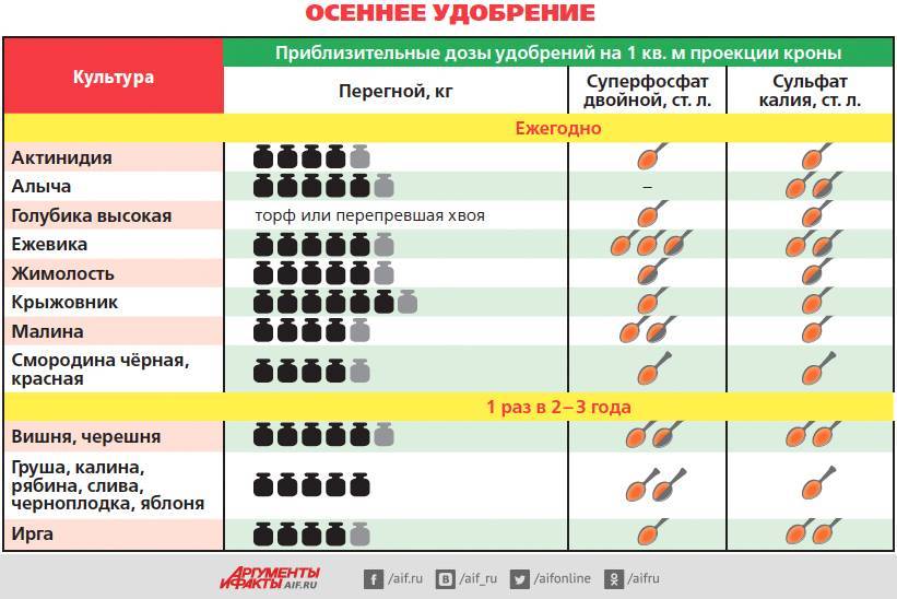 Сроки осенней. Таблица подкормок плодовых деревьев и кустарников. Схема подкормки плодовых деревьев и кустарников. Таблица внесения удобрений по месяцам. Схема подкормки плодовых деревьев и кустарников весной.