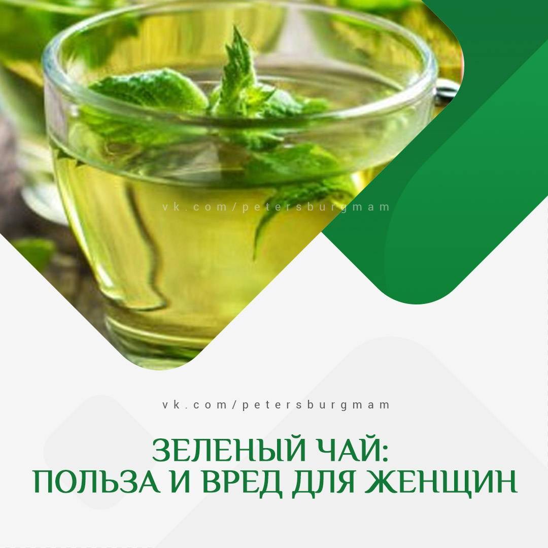 В чем состоит польза зеленого чая для женского организма? противопоказания, правильное хранение и употребление напитка