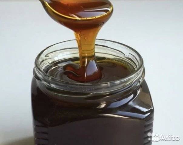 Каштановый мед и его исключительная польза для человека