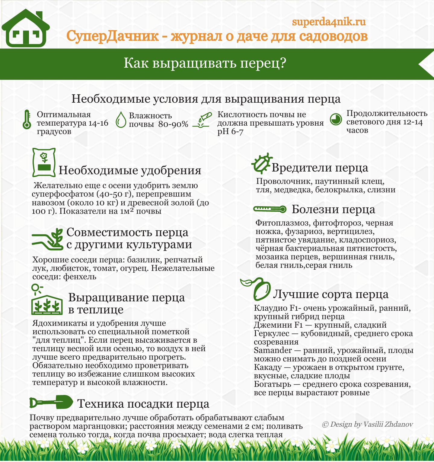 Выращивание перца в открытом грунте в подмосковье: лучшие сорта и правила ухода