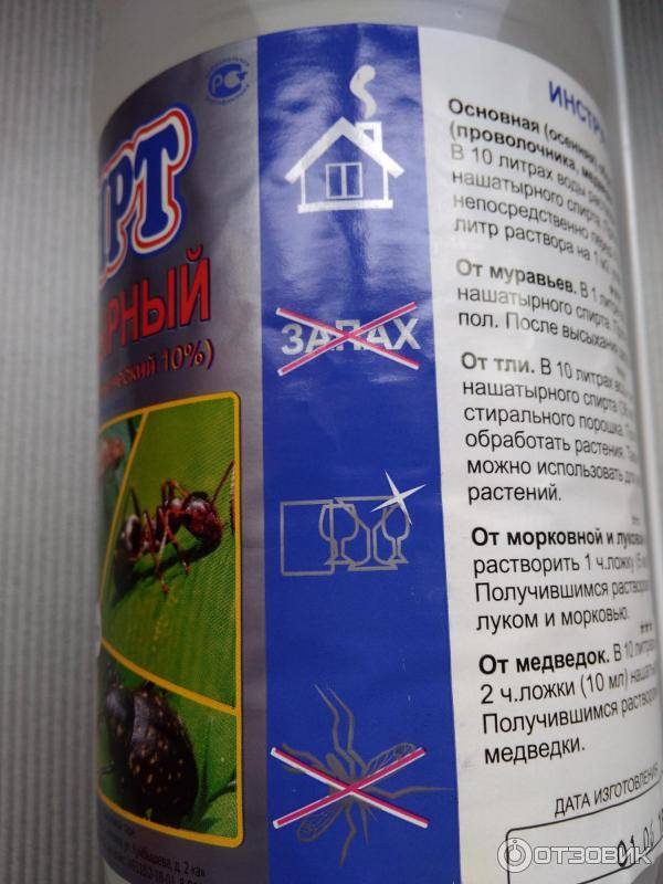 Борьба с колорадским жуком народными средствами