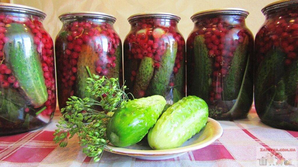 Хрустящие маринованные огурцы на зиму в банках - 10 самых вкусных рецептов, пальчики оближешь