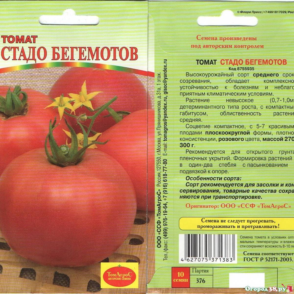 Томат мамонт: характеристика и описание розового сорта, отзывы об урожайности помидоров, фото куста