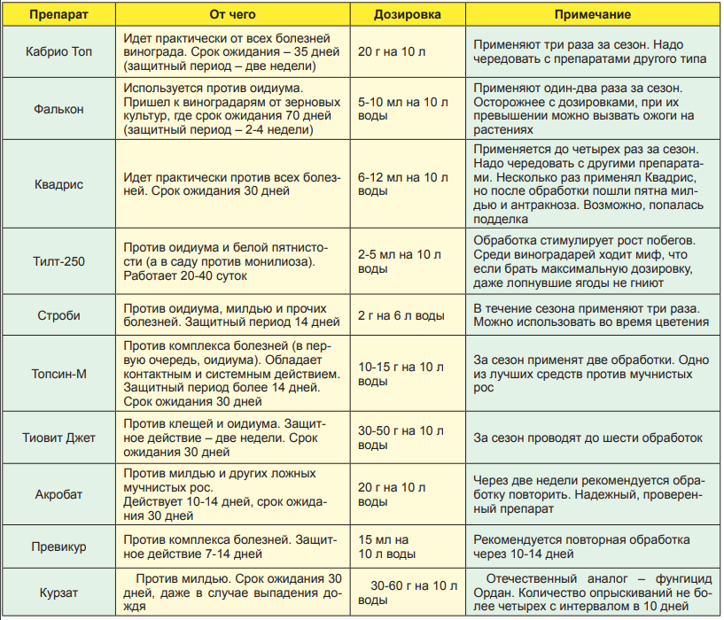 Можно опрыскивать малину бордосской жидкостью. Таблица обработки винограда. Таблица препаратов от вредителей и болезней винограда. Таблица обработки вредители и болезни винограда. Таблица совместимости препаратов для обработки винограда.