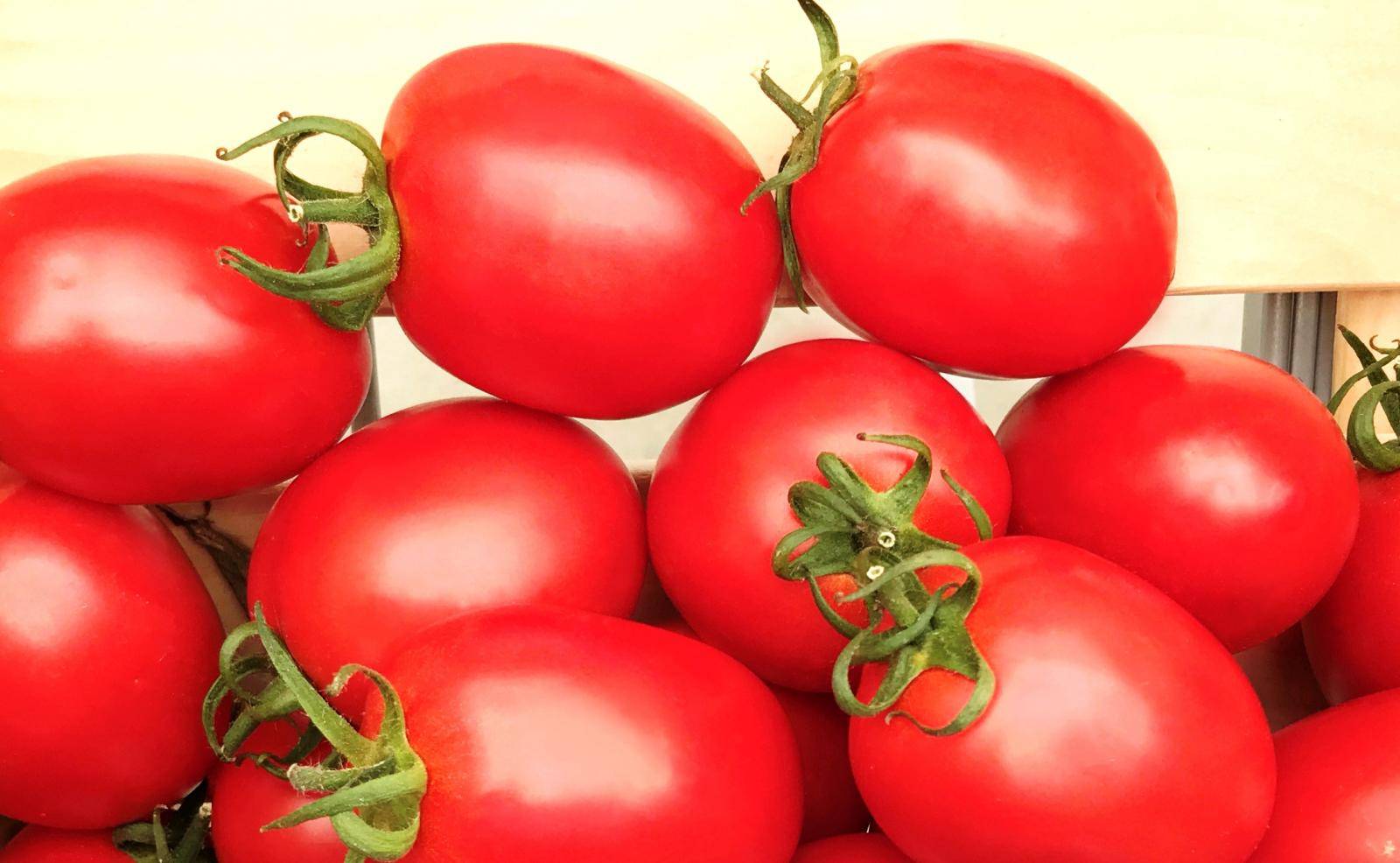 Маленький, да плодовитый: томат бенито — сорт, заслуживающий внимания любителей хороших помидоров