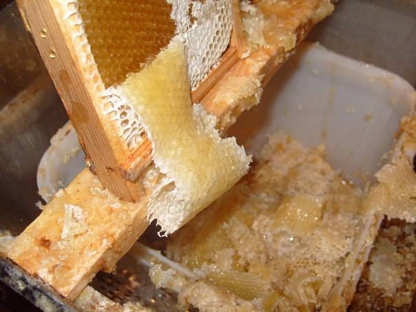 Пчелиная перга состав витаминов, аминокислот и ферментов