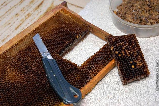 Перга: полезные свойства, как принимать. пчелиная перга - своими руками на даче  - как посеять, сажать, ухаживать за растениями и цветами