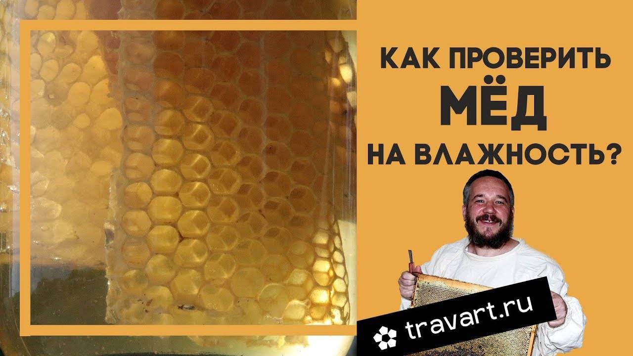 Как правильно хранить свежий мед / чтобы он оставался полезным – статья из рубрики "как хранить" на food.ru