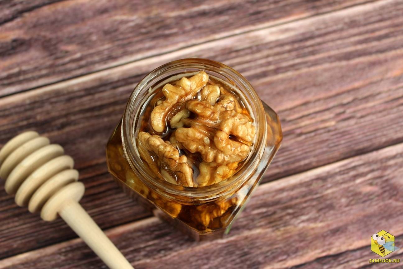 Мед с орехами: польза для мужчин и женщин, и можно ли есть, как сделать смесь с молотыми орешками, как хранить, от каких болезней помогают зеленые плоды?