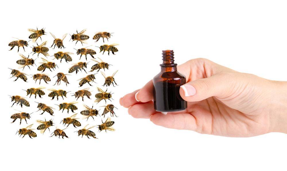 Лечение пчел йодом