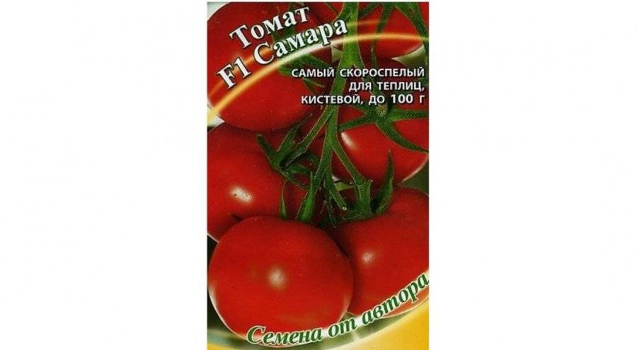 Томат самара: описание, характеристика, фото, отзывы | tomatland.ru