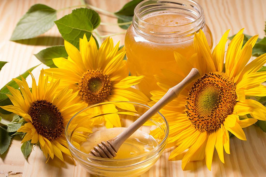 Подсолнечный мёд: польза и вред, характерные особенности, употребление, фото